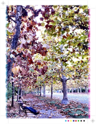 Max Breakwell sitting on a park bench in the Avenue of the Syncamore Trees section of Shinjuku Gyoen in Tokyo Japan.